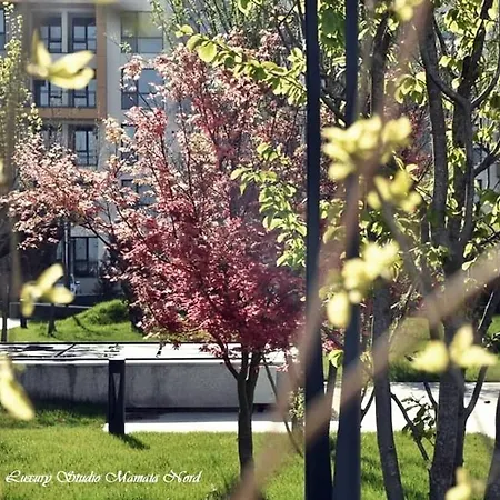 Luxury Mamaia Nord * Năvodari